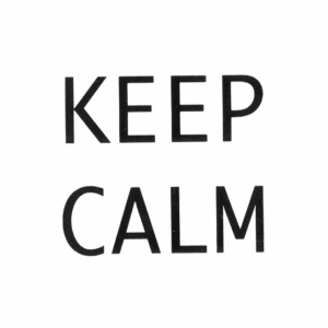 AD/A168/1146T Декор Итон Keep calm 9,9х9,9х7
